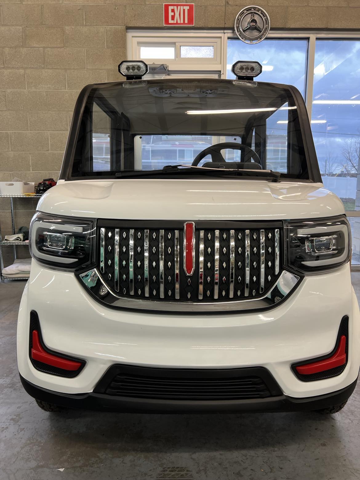 The Grunt Pro 8,750 (250 Deposit) Electric Import Motors