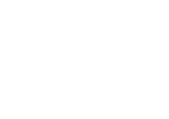 Electric Import Motors
